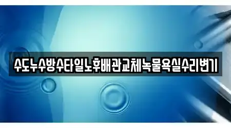 수도누수방수타일노후배관교체녹물욕실수리변기