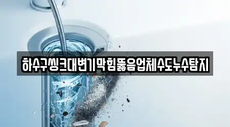 하수구씽크대변기막힘뚫음업체수도누수탐지