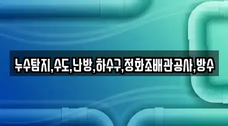 누수탐지,수도,난방,하수구,정화조배관공사,방수