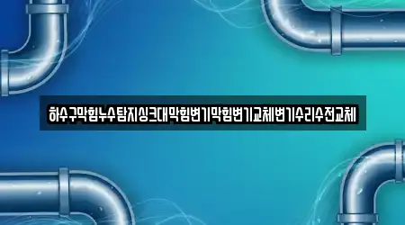 하수구막힘누수탐지싱크대막힘변기막힘변기교체변기수리수전교체