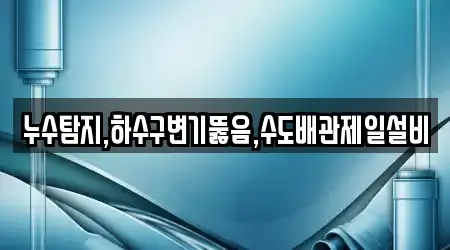 누수탐지,하수구변기뚫음,수도배관제일설비