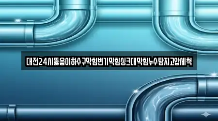 대전24시뚫음이하수구막힘변기막힘싱크대막힘누수탐지고압세척