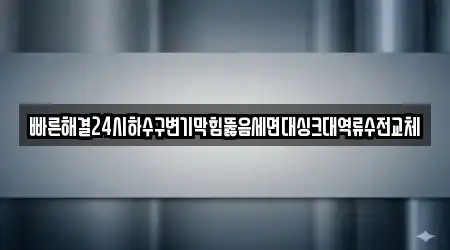 빠른해결24시하수구변기막힘뚫음세면대싱크대역류수전교체