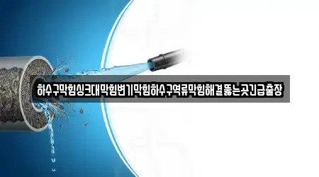 하수구막힘싱크대막힘변기막힘하수구역류막힘해결뚫는곳긴급출장