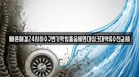 빠른해결24시하수구변기막힘뚫음세면대싱크대역류수전교체