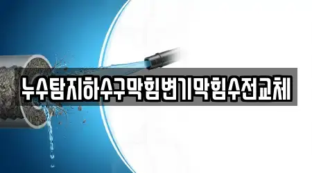누수탐지하수구막힘변기막힘수전교체