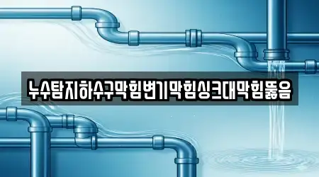 누수탐지하수구막힘변기막힘싱크대막힘뚫음