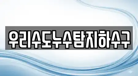 우리수도누수탐지하수구