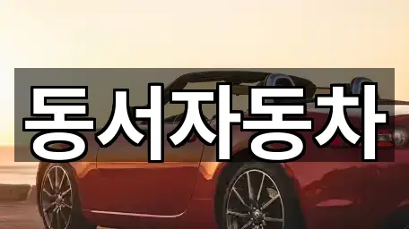 경북 영천시 녹전동 중고차 2곳 위치 체크