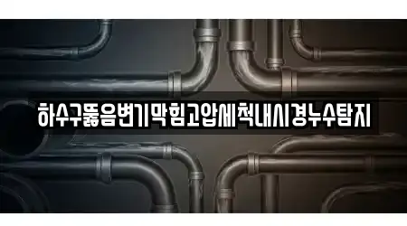 하수구뚫음변기막힘고압세척내시경누수탐지