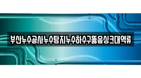 부산누수공사누수탐지누수하수구뚫음싱크대역류