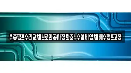 수중펌프수리교체브로와공사정화조누수설비업체배수펌프고장