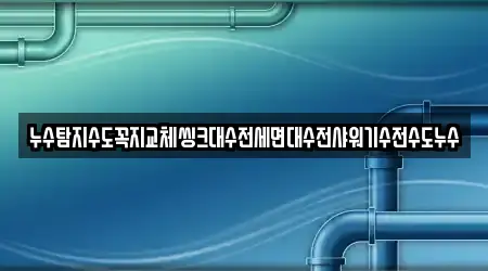 누수탐지수도꼭지교체씽크대수전세면대수전샤워기수전수도누수