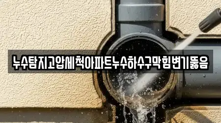 누수탐지고압세척아파트누수하수구막힘변기뚫음