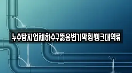 누수탐지업체하수구뚫음변기막힘씽크대역류