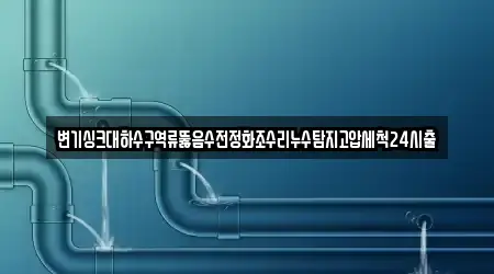 변기싱크대하수구역류뚫음수전정화조수리누수탐지고압세척24시출