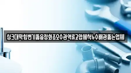 싱크대막힘변기뚫음정화조오수관역류고압세척누수배관뚫는업체