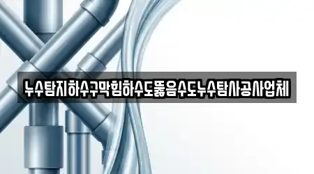 누수탐지하수구막힘하수도뚫음수도누수탐사공사업체