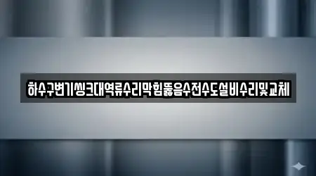 하수구변기씽크대역류수리막힘뚫음수전수도설비수리및교체