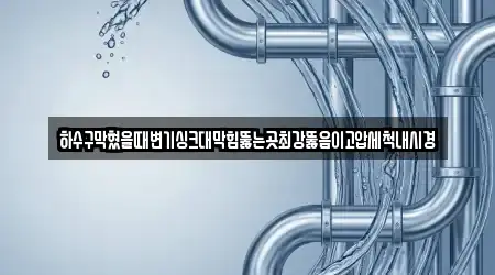 하수구막혔을때변기싱크대막힘뚫는곳최강뚫음이고압세척내시경
