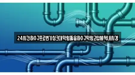 24시간하수구프로변기싱크대막힘뚫음하수구막힘고압세척내시경