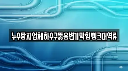 누수탐지업체하수구뚫음변기막힘씽크대역류