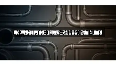 하수구막혔을때변기싱크대막힘뚫는곳최강뚫음이고압세척내시경