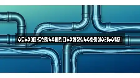 수도누수아파트천장누수베란다누수화장실누수화장실수리누수탐지