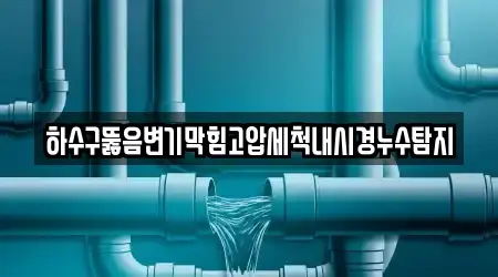 하수구뚫음변기막힘고압세척내시경누수탐지