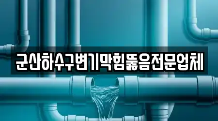 군산하수구변기막힘뚫음전문업체