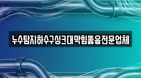 누수탐지하수구싱크대막힘뚫음전문업체