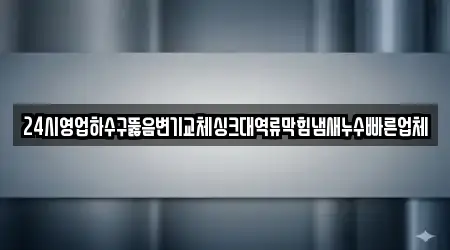 24시영업하수구뚫음변기교체싱크대역류막힘냄새누수빠른업체