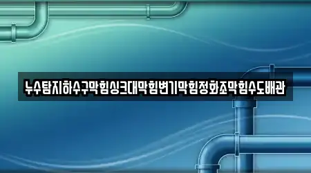 누수탐지하수구막힘싱크대막힘변기막힘정화조막힘수도배관