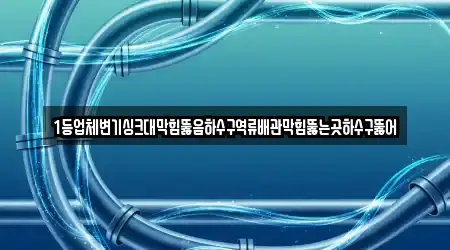 1등업체변기싱크대막힘뚫음하수구역류배관막힘뚫는곳하수구뚫어