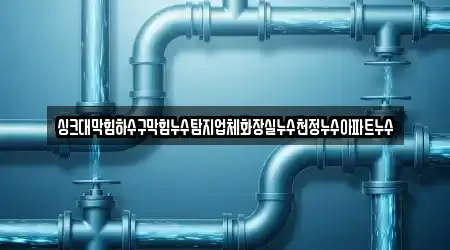 싱크대막힘하수구막힘누수탐지업체화장실누수천정누수아파트누수