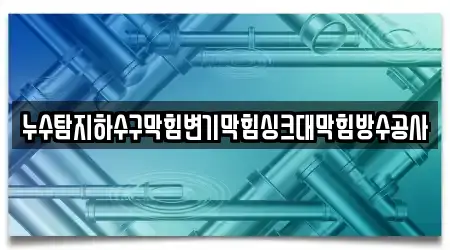 누수탐지하수구막힘변기막힘싱크대막힘방수공사