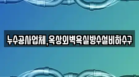 누수공사업체,옥상외벽욕실방수설비하수구