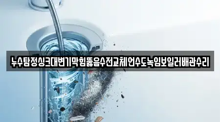 누수탐정싱크대변기막힘뚫음수전교체언수도녹임보일러배관수리