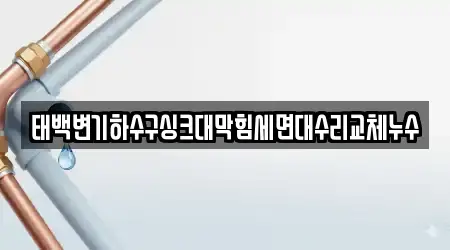 태백 황지동 내 1개 세면대 막힘 주소안내