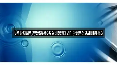 누수탐지하수구막힘뚫음수도설비싱크대변기막힘수전교체배관청소