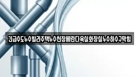 긴급수도누수빌라주택누수천장베란다욕실화장실누수하수구막힘