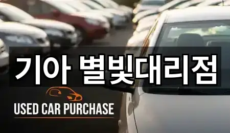 지금 주변 영천 완산동자동차전시장 1곳