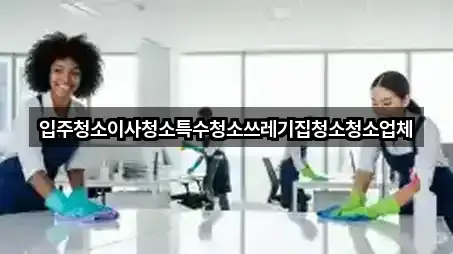 인기 충북 충주시 산척면 입주청소 2곳 모아보기