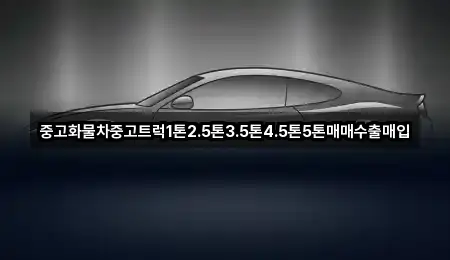 동구 금강동 중고차 예약 가능 5곳