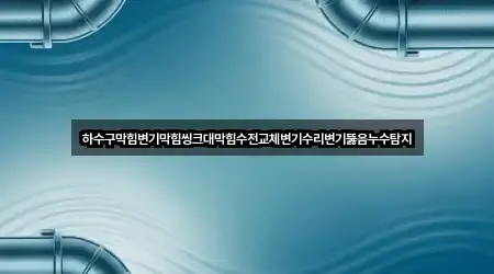 하수구막힘변기막힘씽크대막힘수전교체변기수리변기뚫음누수탐지