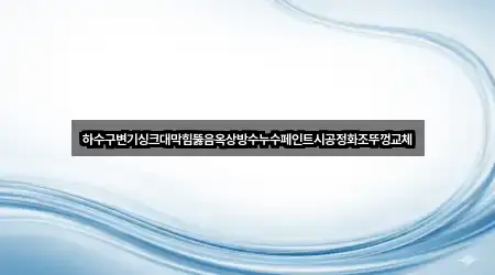 하수구변기싱크대막힘뚫음옥상방수누수페인트시공정화조뚜껑교체