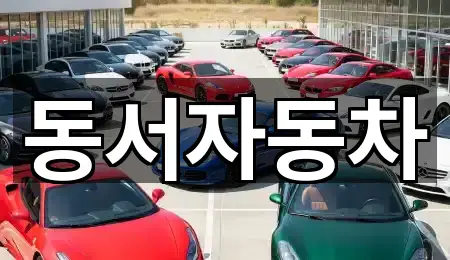 경상남도 안동 중고차 5곳 지도 한눈정리