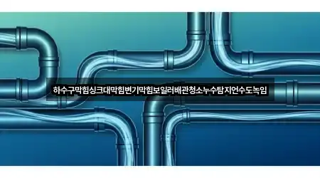 하수구막힘싱크대막힘변기막힘보일러배관청소누수탐지언수도녹임