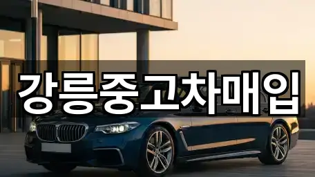 강릉중고차매입