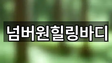 넘버원힐링바디